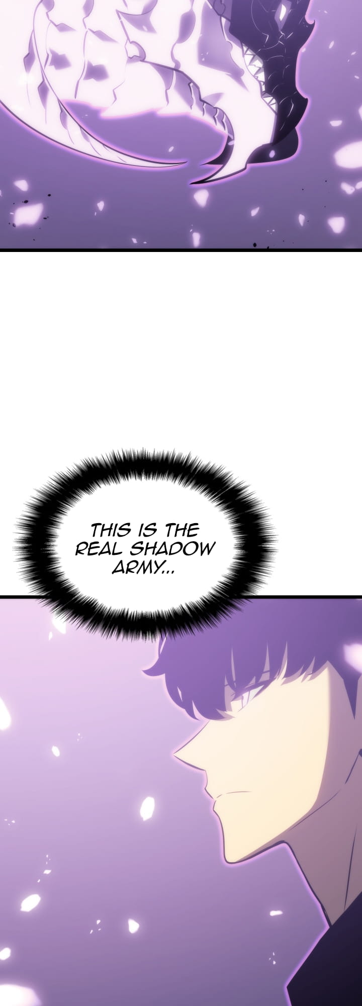 Solo Leveling, Chapter 167 image 28